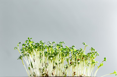 Similar image 21350983