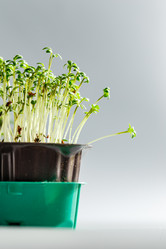 Similar image 21350984