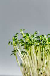 Similar image 21350987