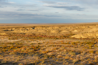 Similar image 21349147