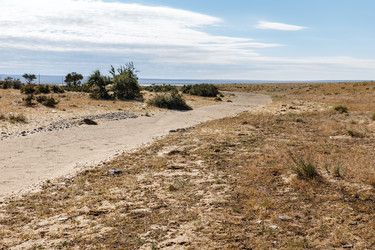 Similar image 21349153