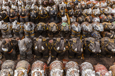 Similar image 21349154