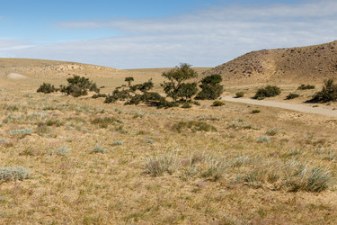 Similar image 21349156