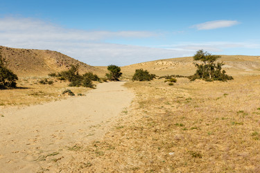 Similar image 21349158