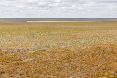 Similar image 21349160