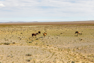 Similar image 21349165