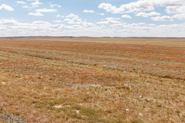 Similar image 21349171