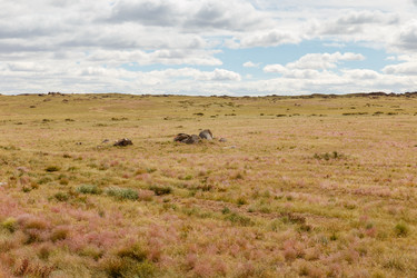 Similar image 21349174