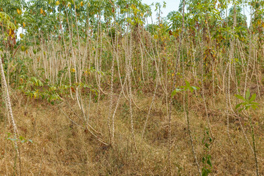 Similar image 21349175