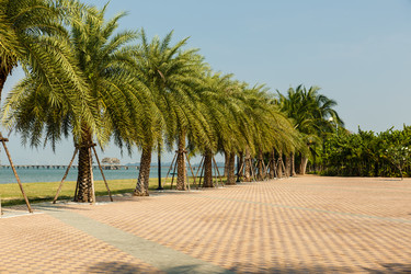 Similar image 21349181