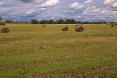 Similar image 21349901