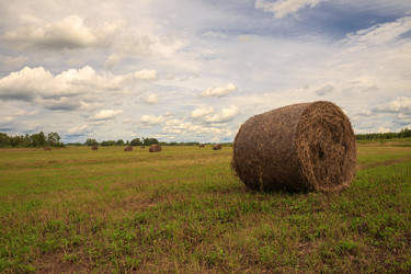 Similar image 21349905