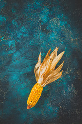 Similar image 21351032