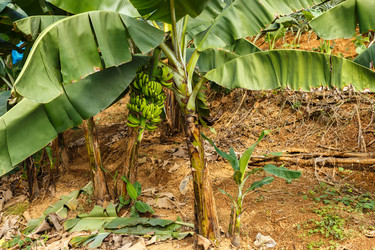 Similar image 21345321