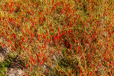 Similar image 21349037