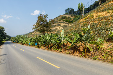 Similar image 21349038