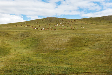 Similar image 21348862