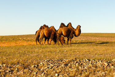 Similar image 21345333