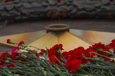 Similar image 21368996