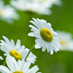 Similar image 21374291