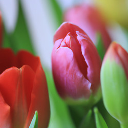 Similar image 21374292