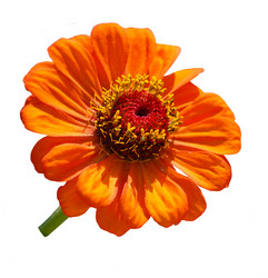 Similar image 21343696