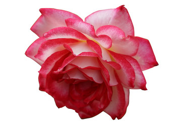 Similar image 21343697