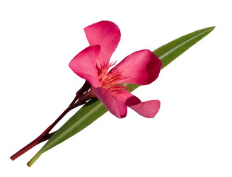 Similar image 21343700