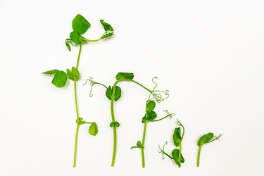 Similar image 21361252