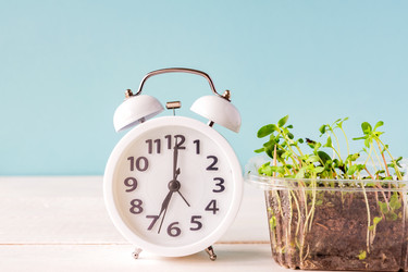 Similar image 21361464