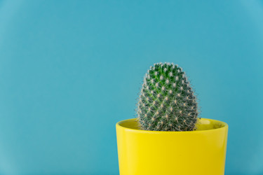 Similar image 21361469