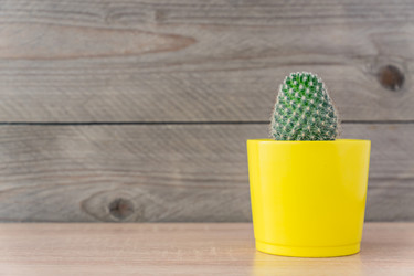 Similar image 21361472