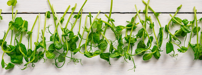 Similar image 21361473