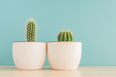 Similar image 21361474