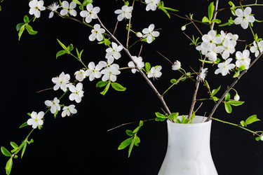 Similar image 21361485