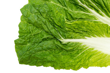 Similar image 21361497