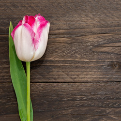 Similar image 21361504