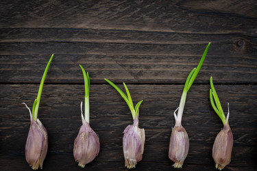 Similar image 21361506