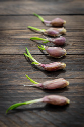 Similar image 21361512