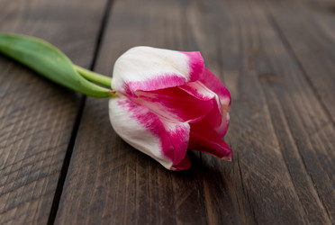 Similar image 21361516