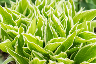 Similar image 21361518