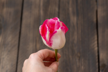 Similar image 21361520