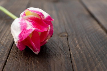 Similar image 21361521