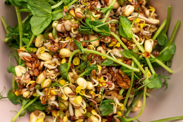 Similar image 21361522