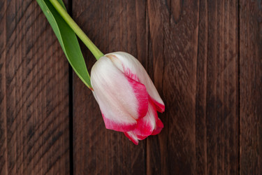 Similar image 21361523