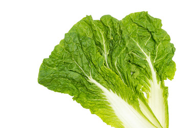 Similar image 21361524