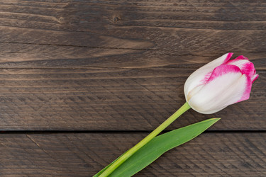 Similar image 21361525