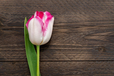 Similar image 21361646