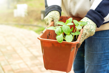 Similar image 21351473