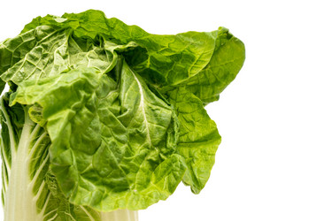 Similar image 21351474